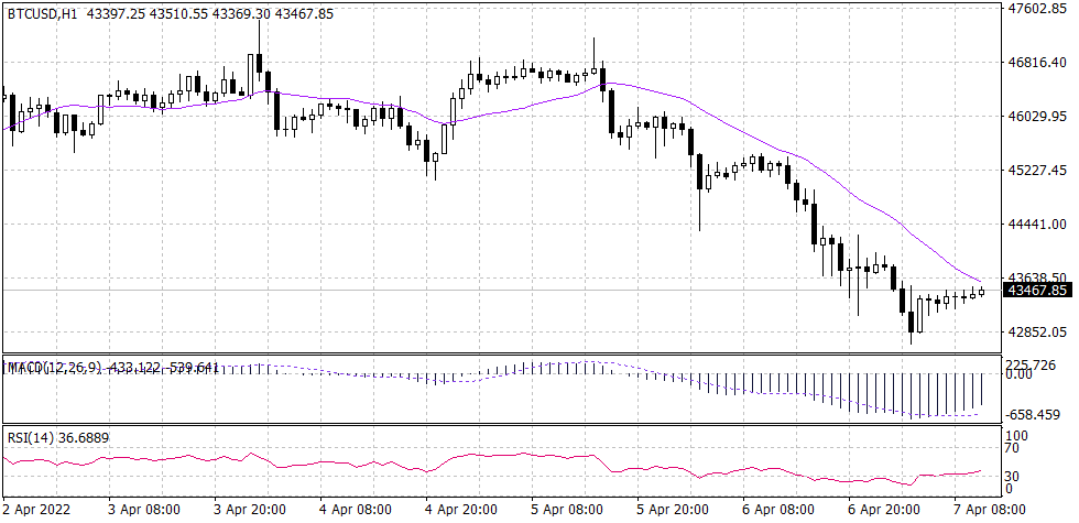 Bitcoin Graph candle for 14 April 2022